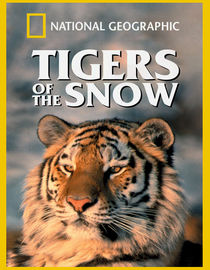 Tigers of the Snow