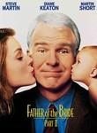 Father of the Bride 2