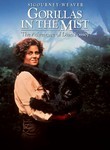 Gorillas in the Mist