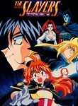 The Slayers: Next