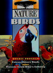 Nature: Birds