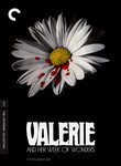 Valerie and Her Week of Wonders