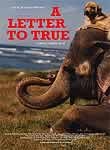 A Letter to True
