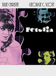 Petulia