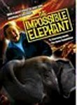 The Impossible Elephant