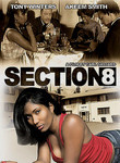 Section 8