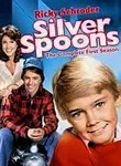 Silver Spoons: Season 1 (3-Disc Series)