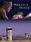 Mario's Story