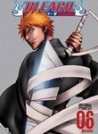 Bleach: Vol. 6: The Entry