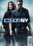 CSI: NY: Season 5 (7-Disc Series)