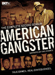 American Gangster: Season 2 (3-Disc Series)