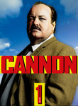 Cannon: Season 1: Vol. 1 (4-Disc Series)