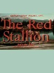 The Red Stallion