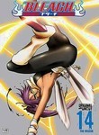 Bleach: Vol. 14: The Rescue