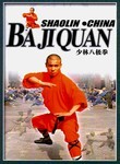 Shaolin Kung Fu: Ba Ji Quan