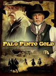 Palo Pinto Gold poster