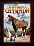 The Adventures of Champion