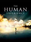 The Human Experience