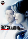 Grey's Anatomy