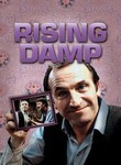 Rising Damp