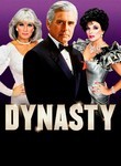 Dynasty