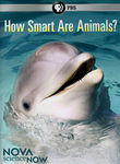 How Smart are Animals?: Nova scienceNOW