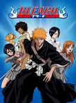 Bleach: Vol. 6: The Entry