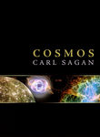 Cosmos