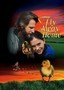 Fly Away Home