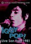 Iggy Pop: Live San Fran 1981
