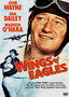 The Wings of Eagles