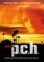 Down the P.C.H.